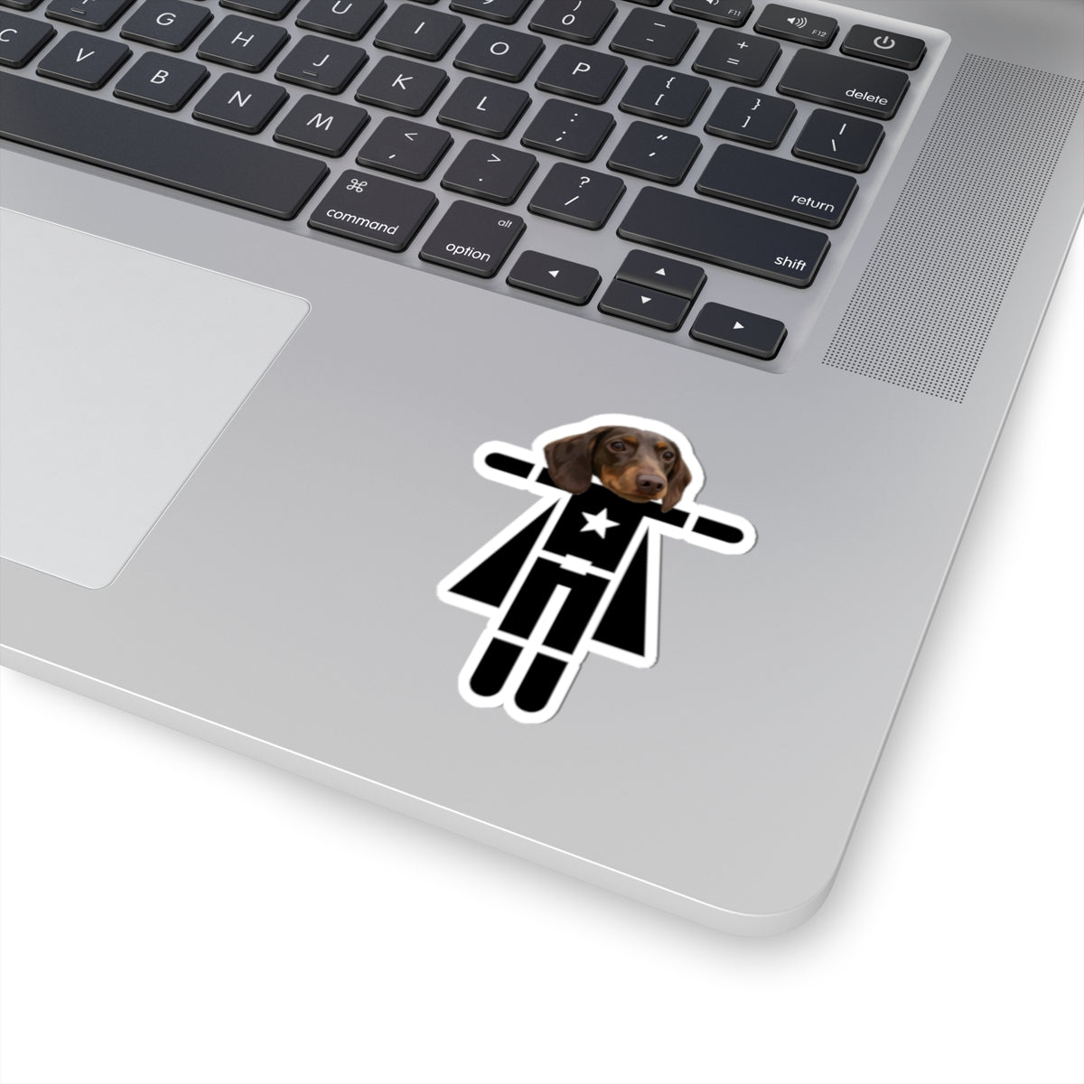 Custom Pet Portrait Stickers-OMG