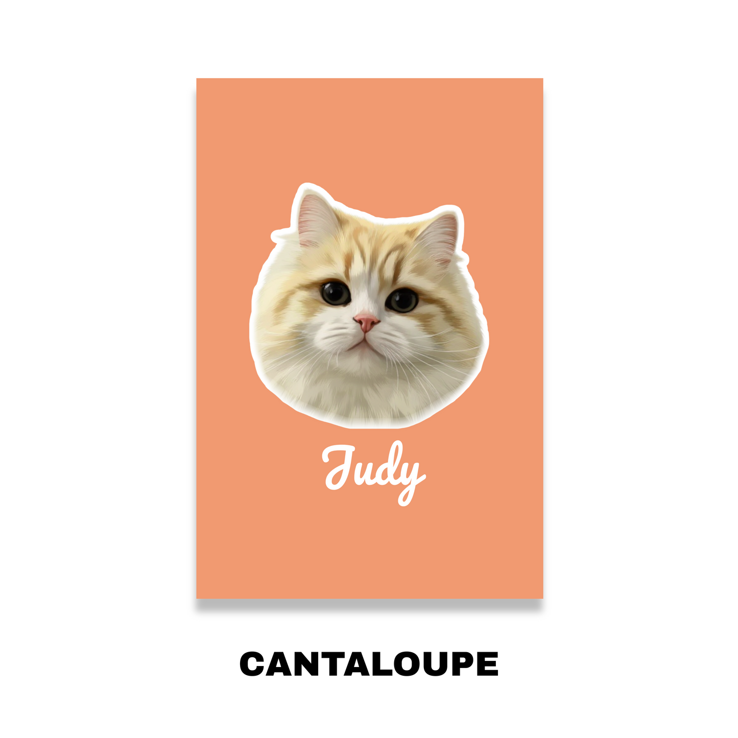 Custom Pet Portrait Blanket-Solid Color