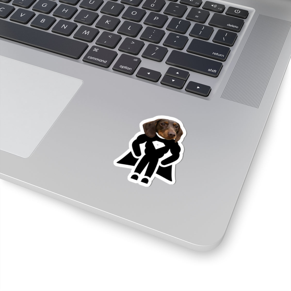 Custom Pet Portrait Stickers-OMG