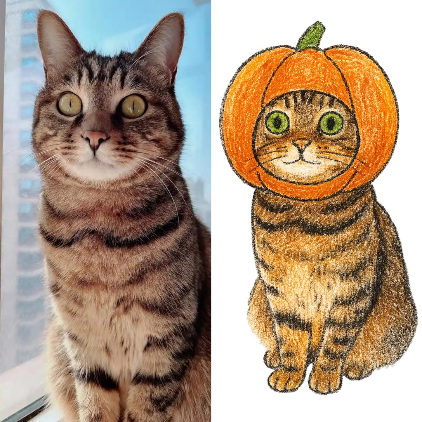 Fruit Edition Portraits