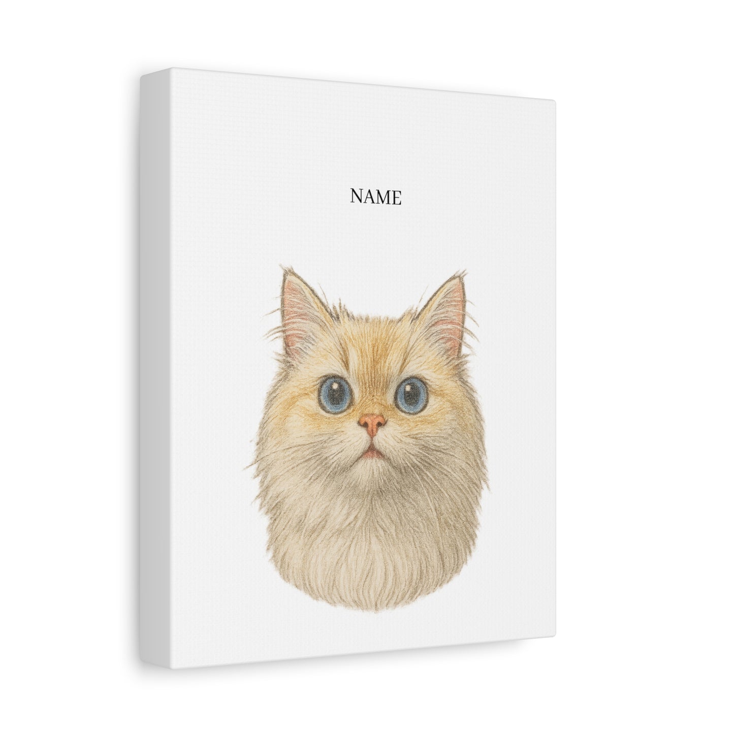Colored Pencil Style Pet Portrait