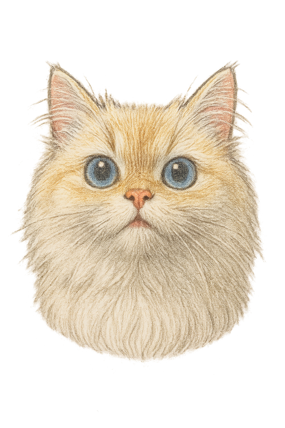 Colored Pencil Style Pet Portrait