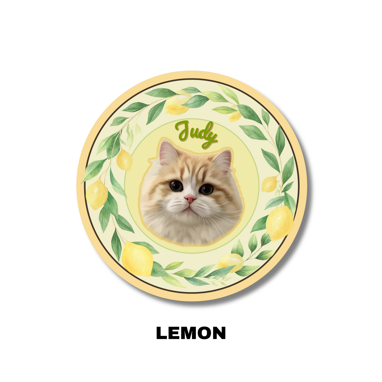 Custom Pet Portrait Carpet-Modern,fruit