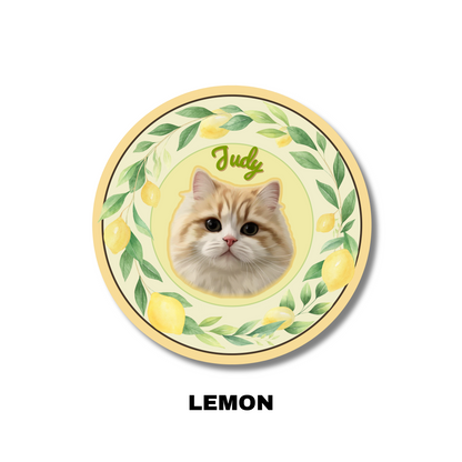 Custom Pet Portrait Carpet-Modern,fruit