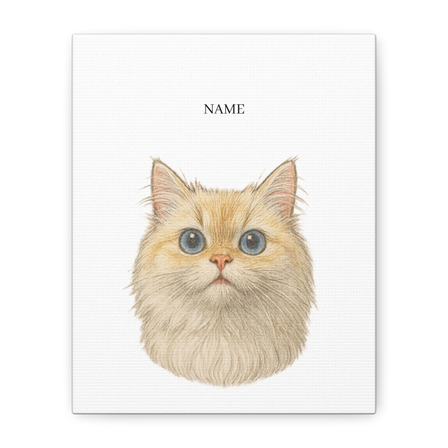 Colored Pencil Style Pet Portrait