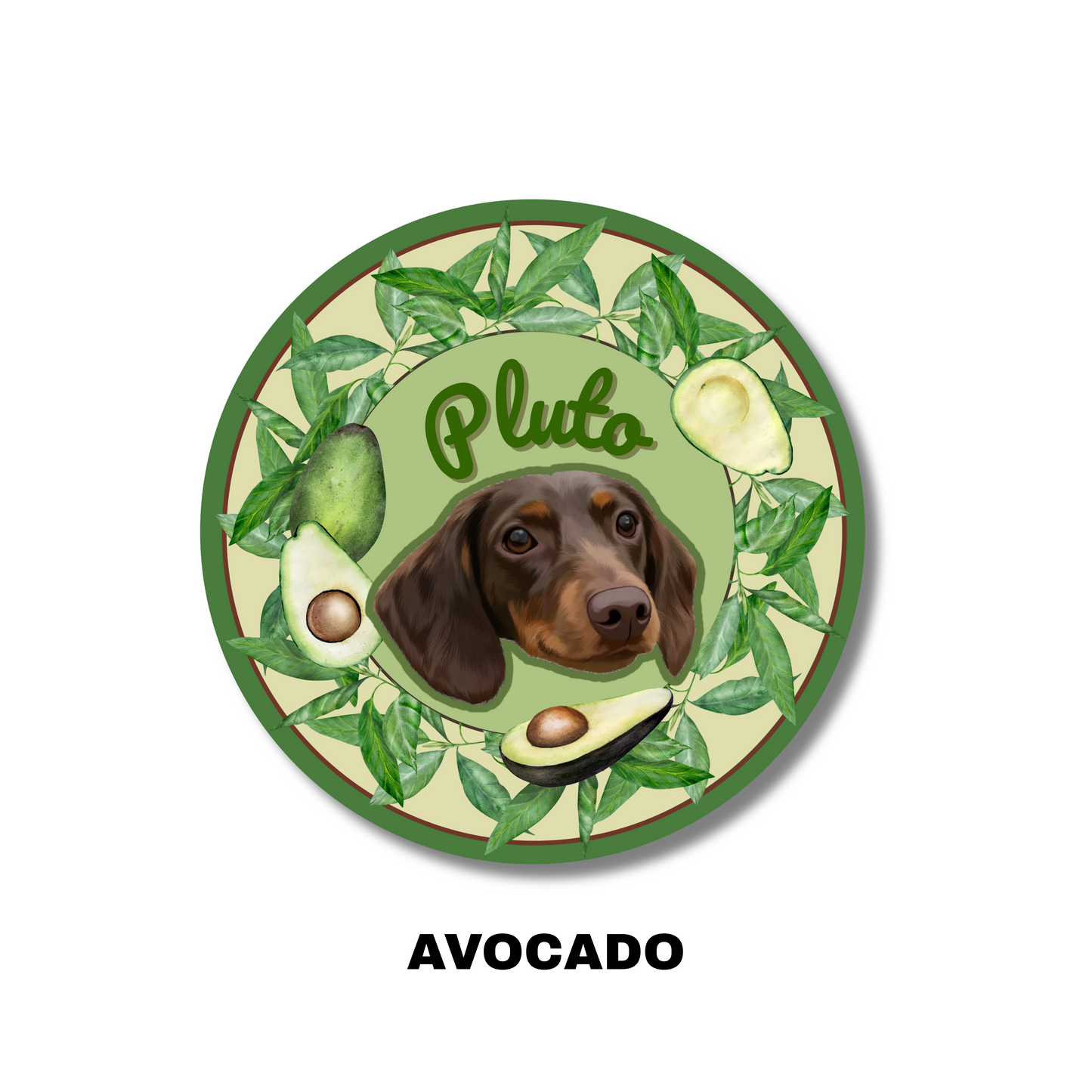 Custom Pet Portrait Carpet-Modern,fruit