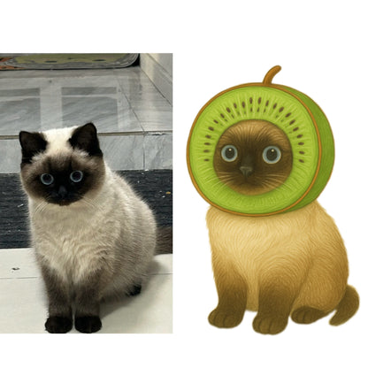 Fruit Edition Portraits