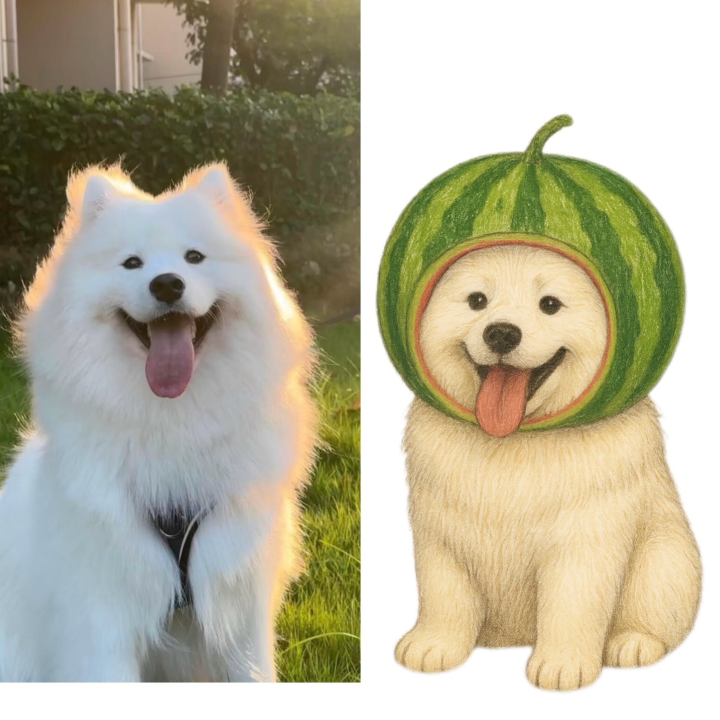 Fruit Edition Portraits