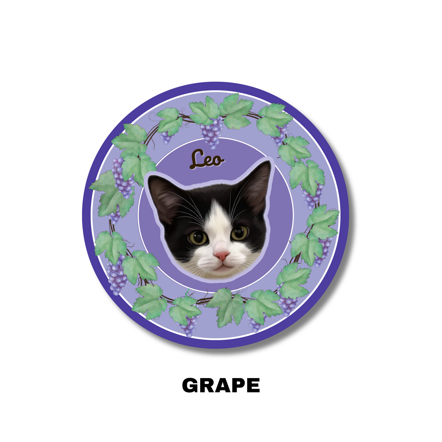 Custom Pet Portrait Carpet-Modern,fruit