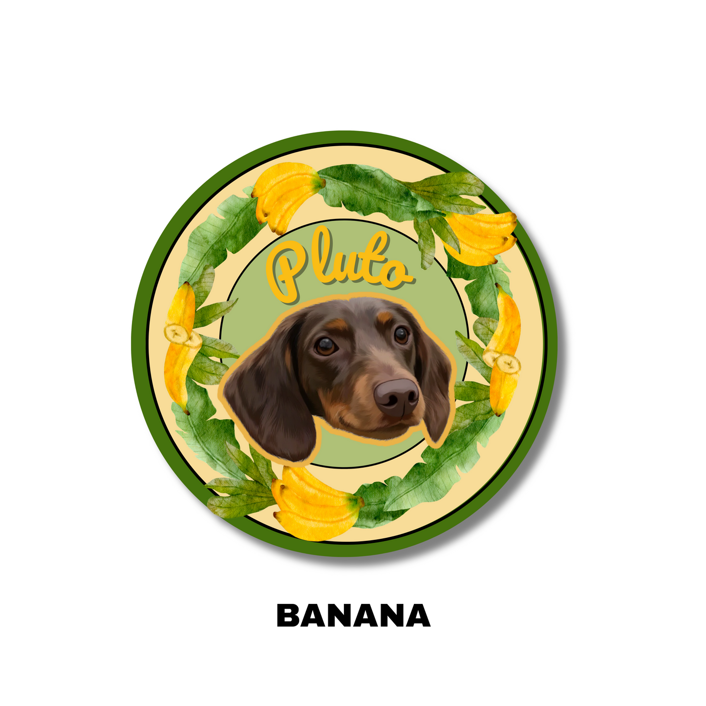 Custom Pet Portrait Carpet-Modern,fruit