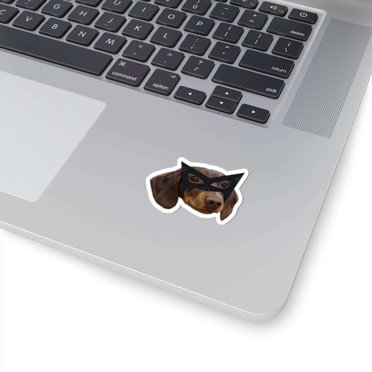 Custom Pet Portrait Stickers-OMG