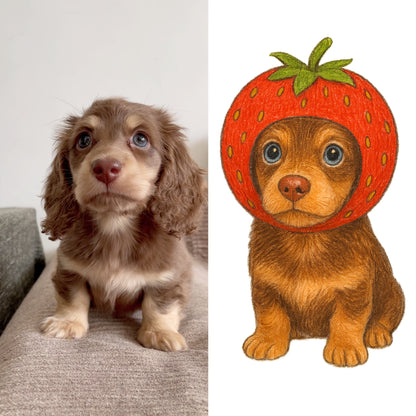 Fruit Edition Portraits