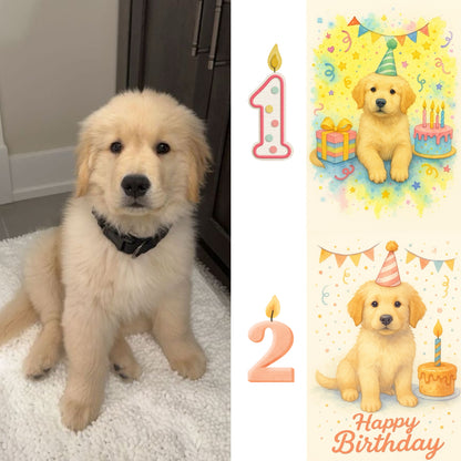 Birthday Portraits