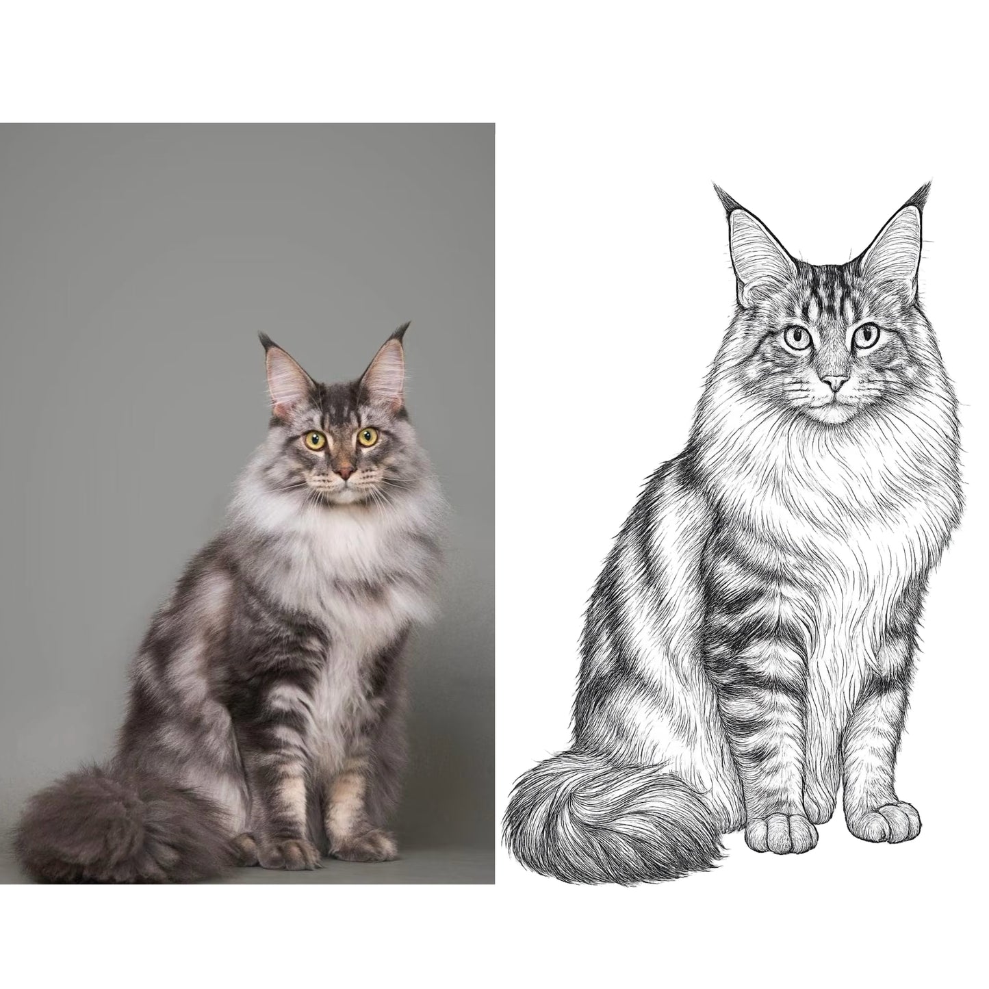 Line Art Portraits