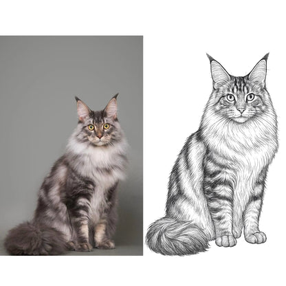Line Art Portraits