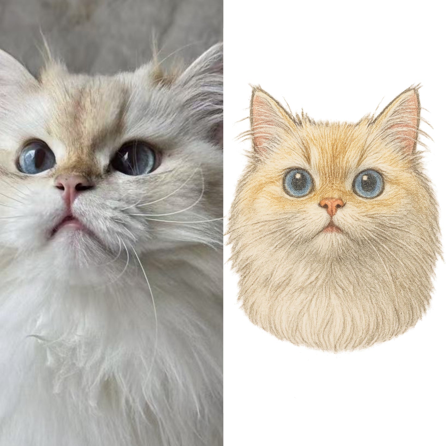 Colored Pencil Style Pet Portrait