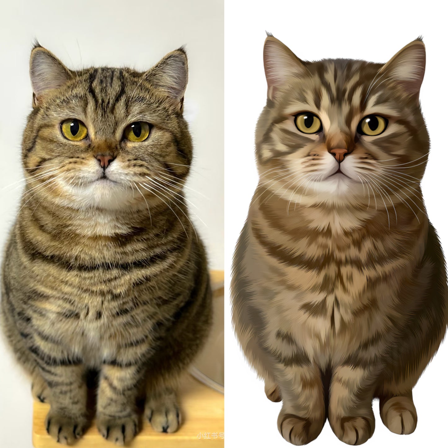 Morden Portrait