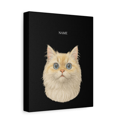 Colored Pencil Style Pet Portrait