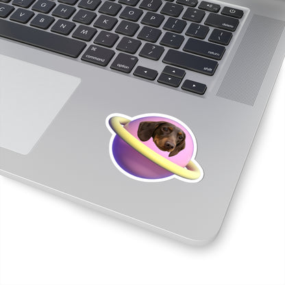 Custom Pet Portrait Stickers-Cute!